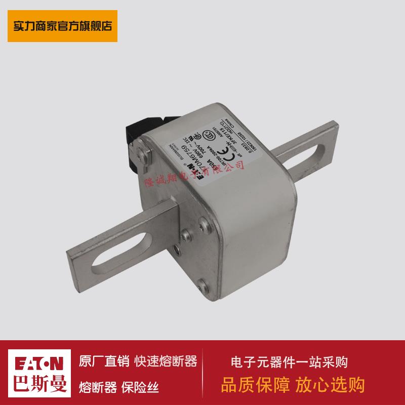 熔断器170M6734 170M6752 170M6755 170M6782 170M6793 170M6802