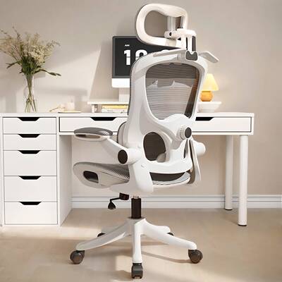 Ergonomic chair silla de oficina office chair 人体工学椅安吉