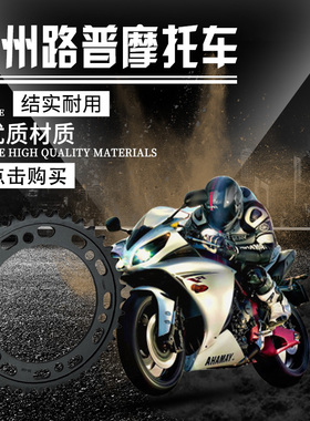 XJR1200 XJR1300 FZS600 Fazer YZF600R 大链轮链盘牙盘齿530链条