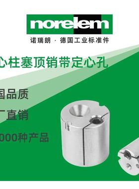 norelem德国原厂诺瑞朗NLM03331偏心柱塞顶销带定心孔
