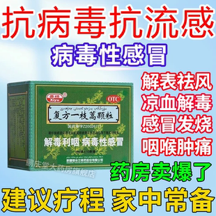 复方一枝蒿颗粒流感病毒特效进口流感药安仍近人用支气管炎咳嗽丸
