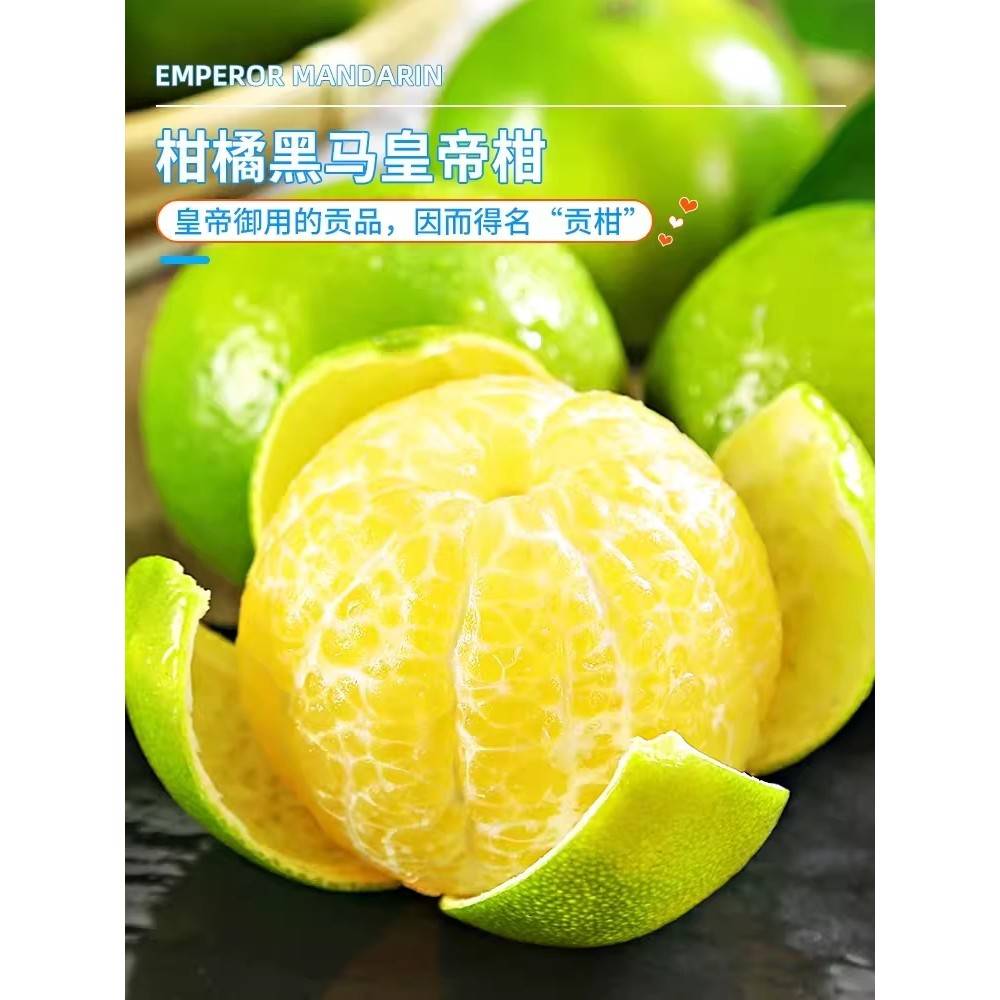 正宗广西皇帝柑大果桔子