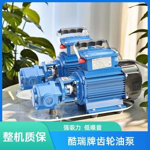 上海牌WCB 齿轮泵小型铸铁齿轮输油泵WCB75 75手提式