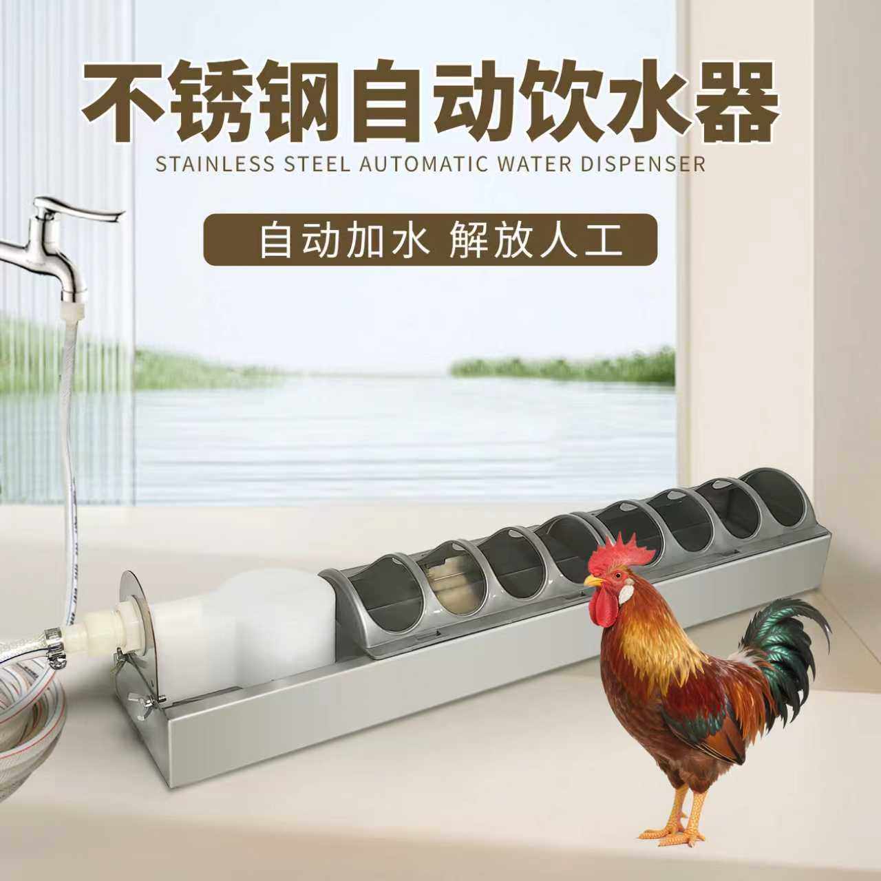 鸡自动饮水器鸡水槽不锈钢自动饮水器鸽子鸡鸭鹅家禽养殖饮水神器
