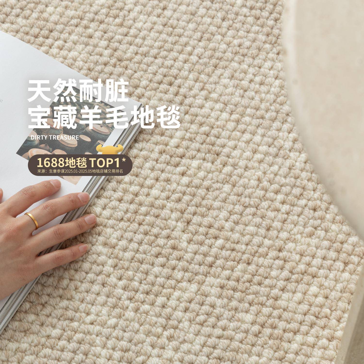 新西兰羊毛地毯客厅轻奢高级素色沙发茶几卧室垫耐脏加厚地毯