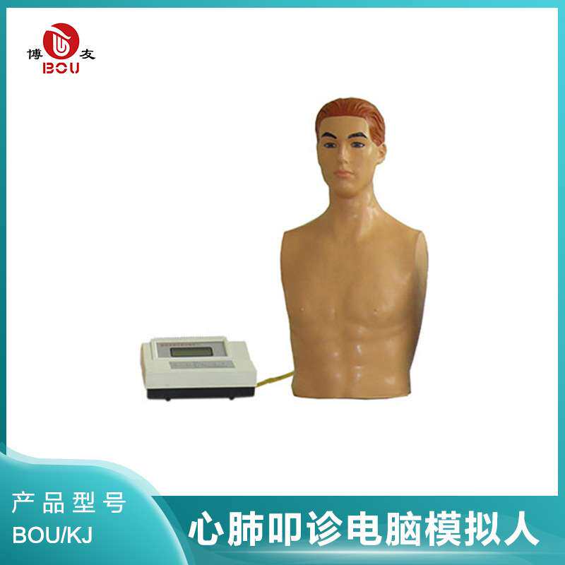 博友心肺叩诊电脑模拟人体格检查模型 BOU-KJ 型