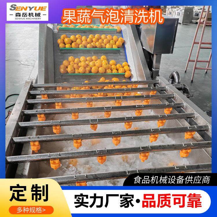 工厂用水果气泡清洗机杏干气泡清洗流水线果脯气泡翻浪清洗机设备,清洗/食品/商业设备,果蔬加工设备,淘宝优惠券,粉丝福利购,淘宝优惠卷