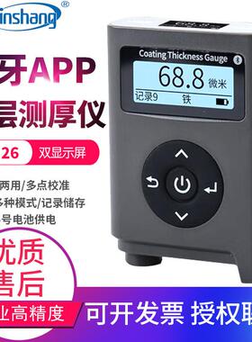 涂层测厚仪高精度防腐油漆测镀锌层厚度检测仪器膜厚仪LS226