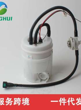 WGS500051电动燃油泵总成 适用于路虎发现 III/Range Rover Sport