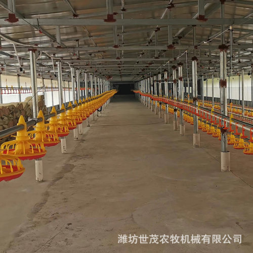 全套肉鸡蛋鸡家禽自动喂料喂水系统 养鸡场散养设备 源头厂家