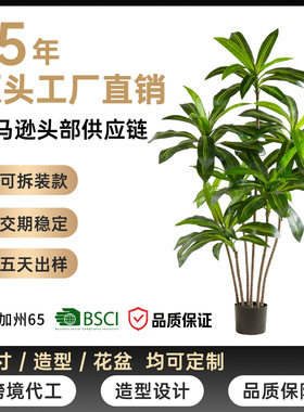 仿真巴西木商场橱窗室内外大型落地摆件装饰仿真绿植巴西铁盆栽树