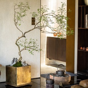 仿真绿植新中式黄荆树盆景室内茶室D高级感软装美陈假植物盆栽摆