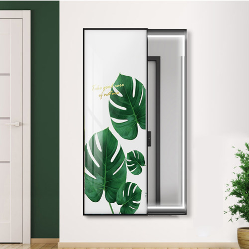 LE藏灯带隐D式镜子全身镜小清新植物穿衣镜装饰画客厅试衣镜壁挂