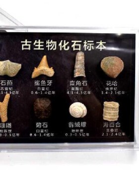 现代简约样板间办公室书桌书架垫书垫胡桃木皮革写字板创意摆件