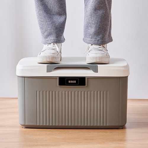 密码收纳箱隐私文件保险箱带锁的收纳箱收纳盒车载家用储物医药箱