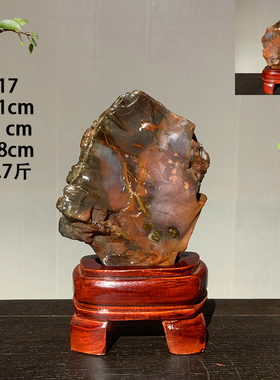 天然木化石原石硅化木树化玉石头观赏石奇石玉石R家居装饰收藏摆