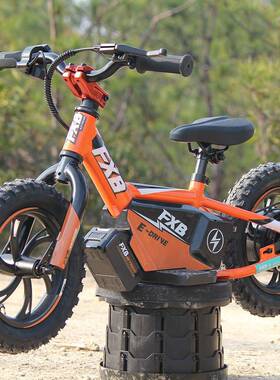 FXB欧美市场热销新品儿童电动滑行平衡车250W轮毂电机摩托