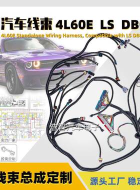 LS14L60EDBC发动机线束4.85.36.0VORTECDRIVEBYCABLE