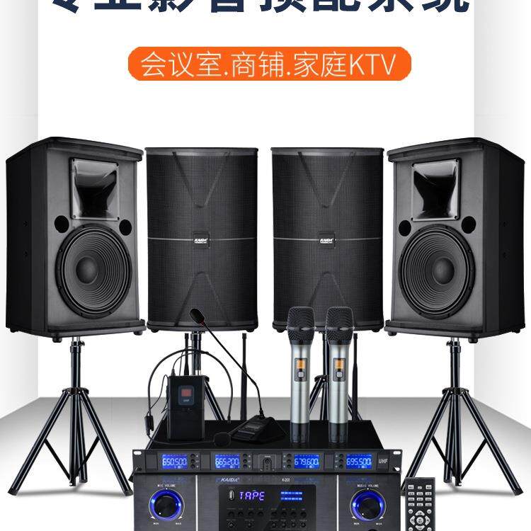 包邮专业会议室舞蹈培训门店铺专用音箱家庭KTV音响套装k歌健身房