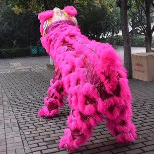 舞狮道具全套南狮醒狮舞龙舞狮服装双人羊毛狮子瑞狮鸣朝狮头