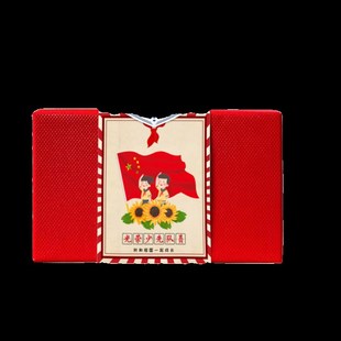 我和祖国一起成长邮票礼盒创意礼物少先队员入队礼物一年级开学礼