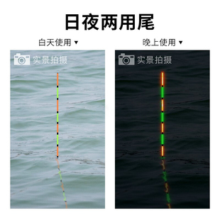 新款 鱼漂电子漂夜光漂高灵敏日夜两用醒目高亮水无影咬钩变色浮漂