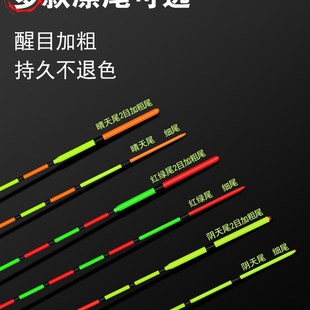 轻口芦苇浮漂加粗醒目高灵敏鱼漂阴天尾红绿尾橙黄尾鲤鱼鲫鱼漂标