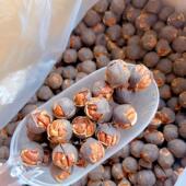 新货临安山核桃大籽水煮好好剥椒盐口味醇香罐装 带壳小核桃