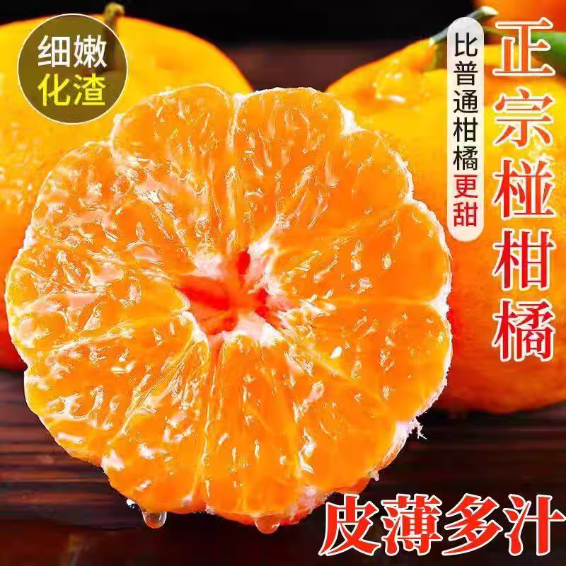 正宗碰柑芦柑新鲜柑橘应季孕妇水果果园现摘整箱