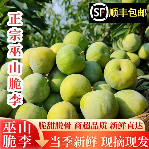 巫山曲尺脆李脱骨新鲜礼盒