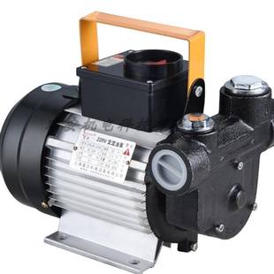 电动新款 抽油柴油齿轮油煤油小型12V24V电瓶交流自吸泵便携加油站