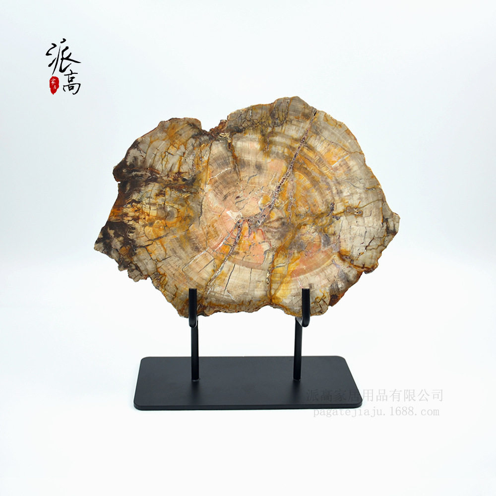 厂家 天然木化石摆件原石木化石切片客厅样板间软装工艺品摆设