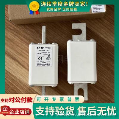 巴斯曼熔断器170M4138/4139/4140/4141/4142/4143/4144/4145/4146