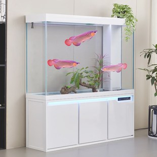 鱼缸客厅家用2024新款 超白玻璃落地观赏鱼缸免换水生态底滤龙鱼缸