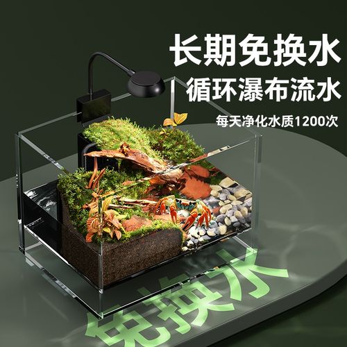 寄居蟹饲养箱小螃蟹生态相手相守蟹专用蟹缸宠物养螃蟹造景小别墅