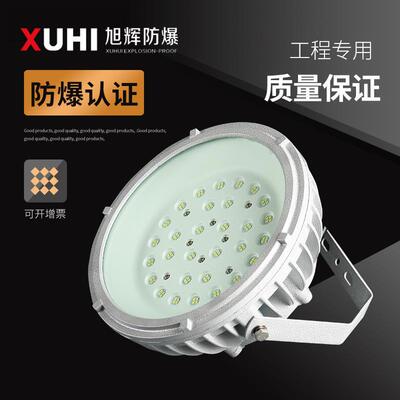 防爆平台灯XHD850免维护LED防爆灯70W80W100WLED路灯高亮节能
