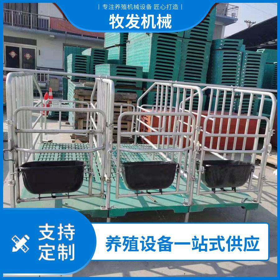 母猪定位栏 热浸锌限位栏 落地式养殖妊娠母猪限位河南厂家