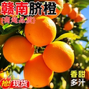 正宗赣南脐橙官方旗舰店新鲜大橙子当季 水果江西赣州产地直发整箱