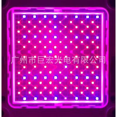 厂家大功率LED灯珠 136W红蓝紫多波段植物灯灯珠多色光