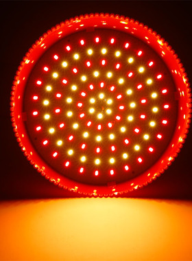 led生鲜猪肉灯红色熟食卤菜卤肉店专用灯冷鲜肉海鲜蔬菜水果吊灯