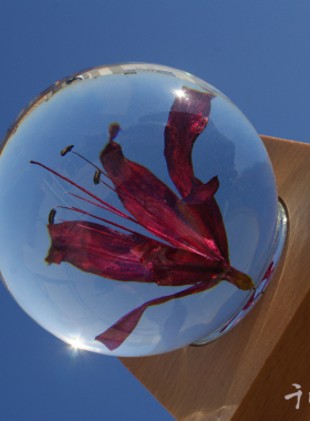 永生花水晶球曼珠沙华彼岸花树脂植物标本小夜灯情人节生日送女友