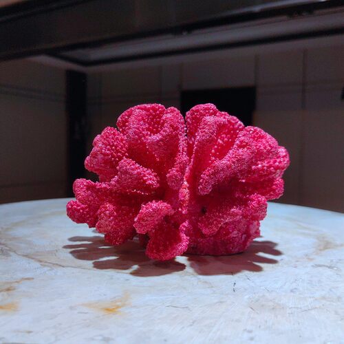 简约现代摆设树脂仿真珊瑚客厅软装配饰桌面书柜海洋带底座摆件