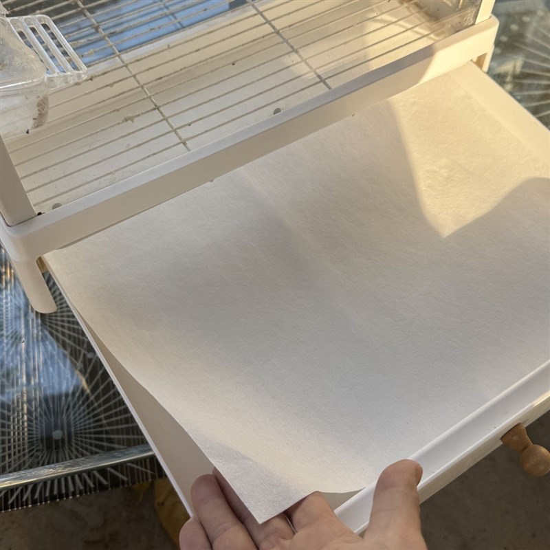 达洋鸟笼B4001B6001B6045B5001托盘垫纸无纺布防漏Z加厚一次性