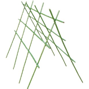 竹竿子搭架菜园园艺支架豆角黄瓜支撑杆花架植物园番W茄固定爬藤