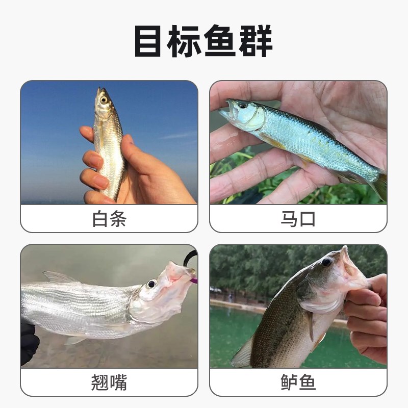 路亚饵苍蝇软饵仿生昆虫假饵飞蝇钩溪流钓马口白条U翘嘴掠食性淡