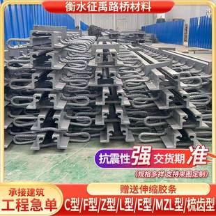 桥梁伸缩缝公路C40F60D80型160240异型钢梳齿板式 置 伸缩缝装