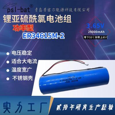 ER34615M-21S2P3.6V29Ah功率型锂亚电池并联组合物联网智能仪表