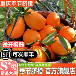 农叮咚【品牌果园直营】重庆奉节脐橙纽荷尔橙子官方旗舰店
