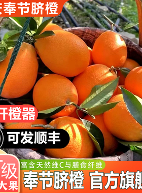 农叮咚【品牌果园直营】重庆奉节脐橙10斤纽荷尔橙子官方旗舰店