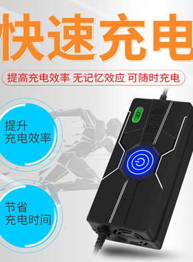 36V锂电池充电器铁锂12串43.8V2A3A5A10A磷酸铁锂12串充电器快充